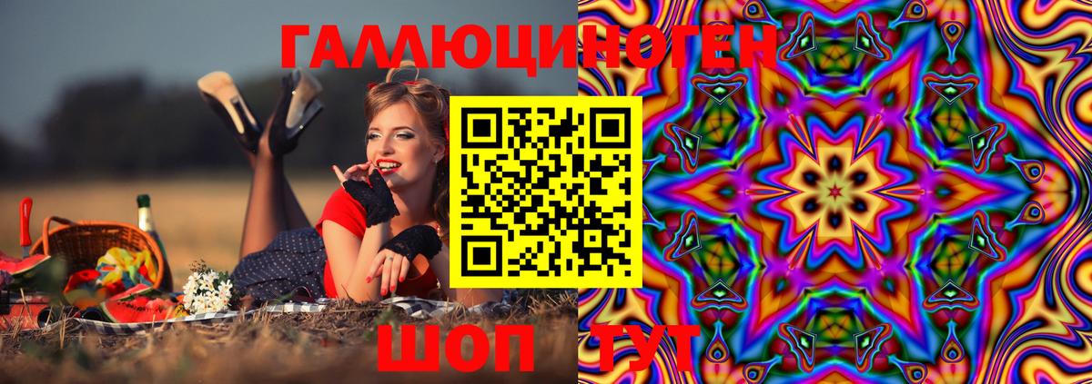 Псилоцибиновые грибы Cubensis Гусев