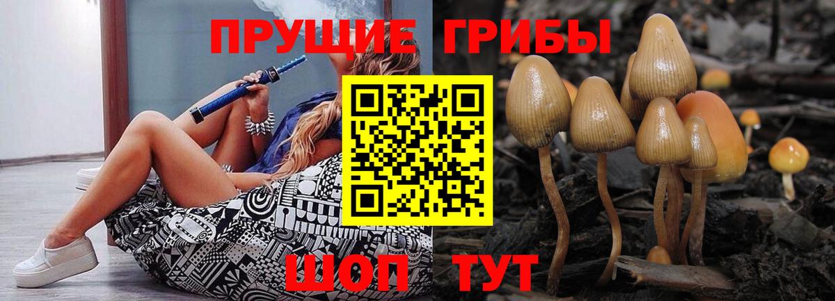 Псилоцибиновые грибы Cubensis  Галлюциногенные грибы GOLDEN TEACHER  Гусев  Вход с VPN 